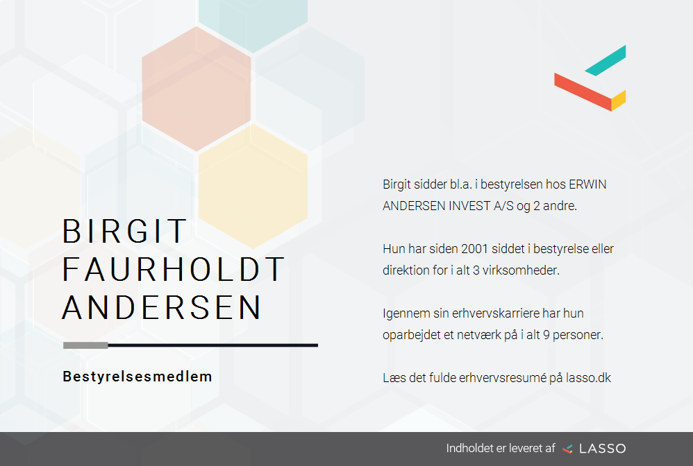 Birgit Andersen - Roller i erhvervsliv