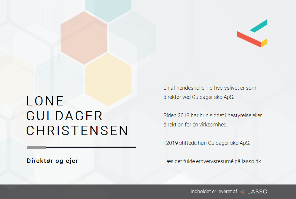 I særdeleshed Situation famlende Lone Guldager Christensen - Roller i dansk erhvervsliv
